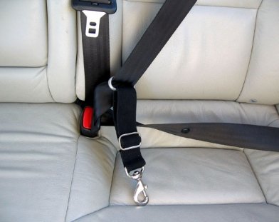 Arnés de perro para cinturón de seguridad