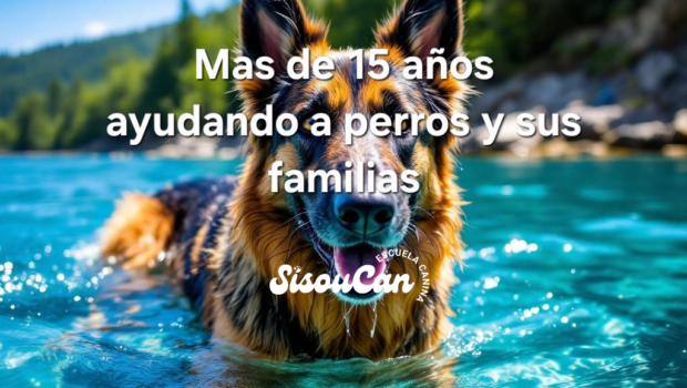 Escuela Canina Sisoucan