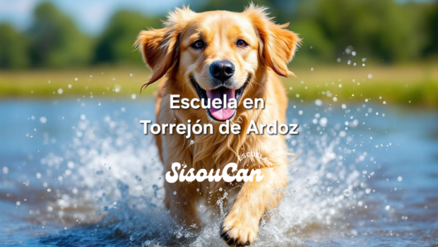 Escuela Canina Sisoucan