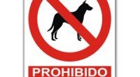 Normativa del Ayuntamiento de Madrid sobre los horarios en el que los perros pueden permanecer sueltos en los parques de la capital.