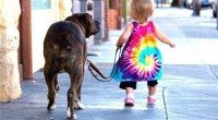 El paseo con nuestra mascota debe ser relajado y beneficioso para los dos, perro y dueño