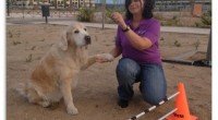 Ven a conocer el mundo de las Terapias y Actividades asistidas con animales