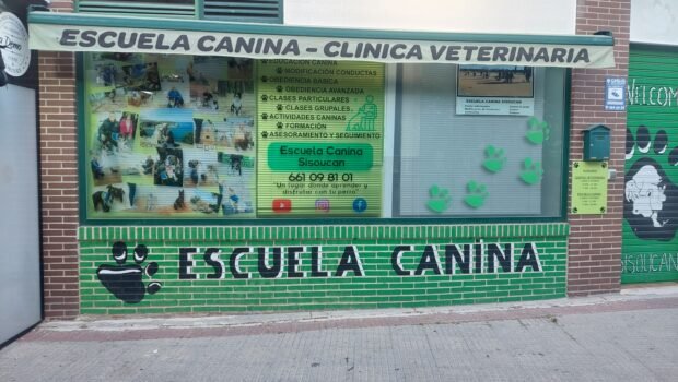 ¿Te imaginas descubrir un lugar donde la educación y la salud trabajan de forma complementaria? Bienvenidos a Sisoucan, Clínica y Escuela Canina a tu servicio. La Escuela Canina Sisoucan fue [&hellip;]